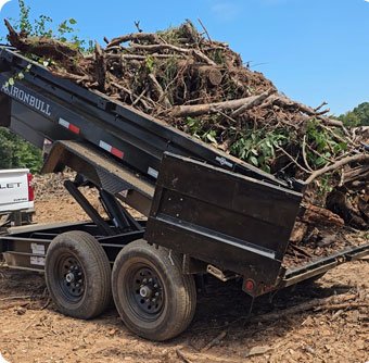 Client testimonial 1