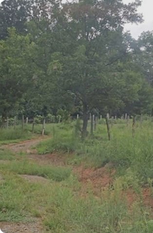 Project before photo 2