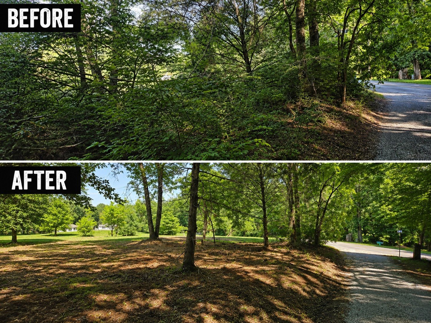 Forestry mulching and underbrush clearing project in North Georgia